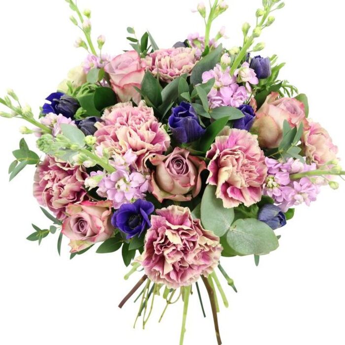 Photographed against a clean, white background, this hand-tied bouquet steps forward in vivid detail, its colours and textures reminiscent of a quiet stroll through leafy St John's Wood. Central to the design are opulent garden roses in gentle blush, dusty rose, and muted mauve, their many layers of petals spiralling outward to form a softly romantic core. Around them, frilled carnations add volume and intricate texture, each bloom showing a refined gradient that shifts from creamy beige or pale blush at the heart to deeper rose, fuchsia, and plum-pink at the edges, creating a rich tapestry of pink tones. Dramatic contrast is introduced with deep indigo-blue flowers: some appear as elegant, tight buds reminiscent of tulips, while others reveal themselves as fully open royal blue anemones with almost black centres, giving the bouquet depth and visual focus. Delicate sprigs of lilac and pale lavender stock weave upward through the composition, their many small blossoms forming vertical lines that lighten the overall feel and suggest a subtle, powdery perfume. Enveloping the blooms is a mix of glossy dark green leaves and soft, rounded eucalyptus foliage in silvery-green, bringing freshness, structure, and a cool, aromatic undertone. The clearly visible, neatly tied stems at the base signal that this is a freshly crafted arrangement, ready for same-day flower delivery around St John's Wood and nearby Maida Vale. The harmonious blend of romantic pinks, serene purples, and bold blues framed by lush greens makes this bouquet ideal for anniversaries, thoughtful sympathy gestures, or elegant celebrations in homes and apartments overlooking Regent's Park.